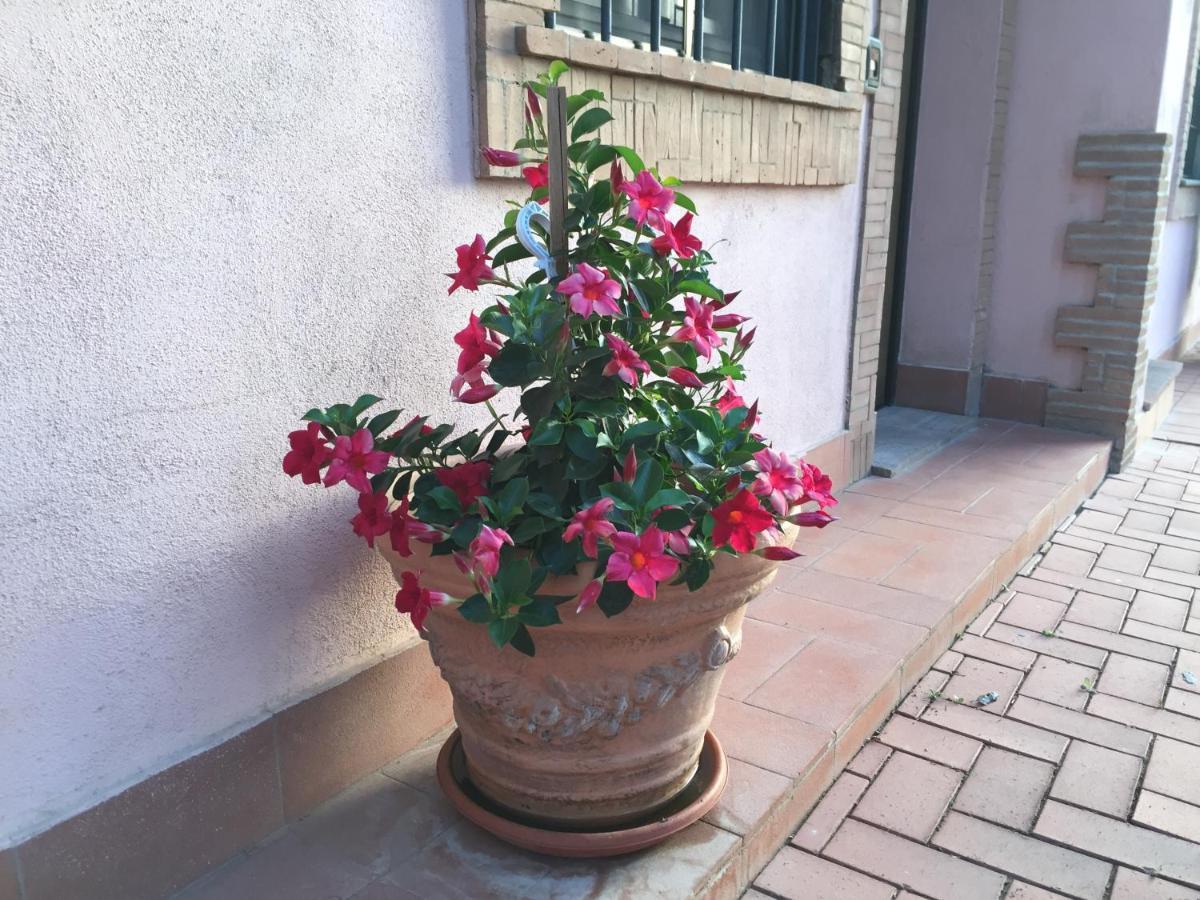 Azienda Agricola Sinisi Cerveteri Exterior foto